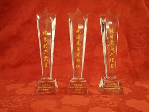 2021優(yōu)秀共產(chǎn)黨員、黨務(wù)工作者、先進基層黨組織